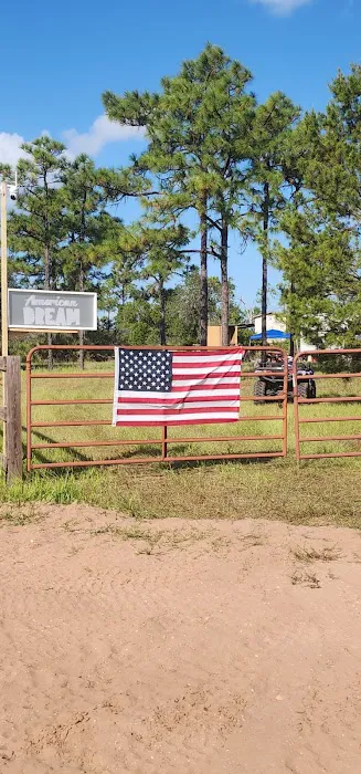 Camp American Dream 1