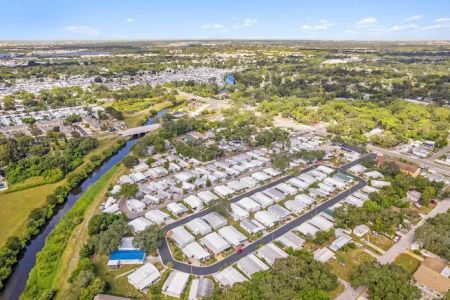 Palm Circle Community