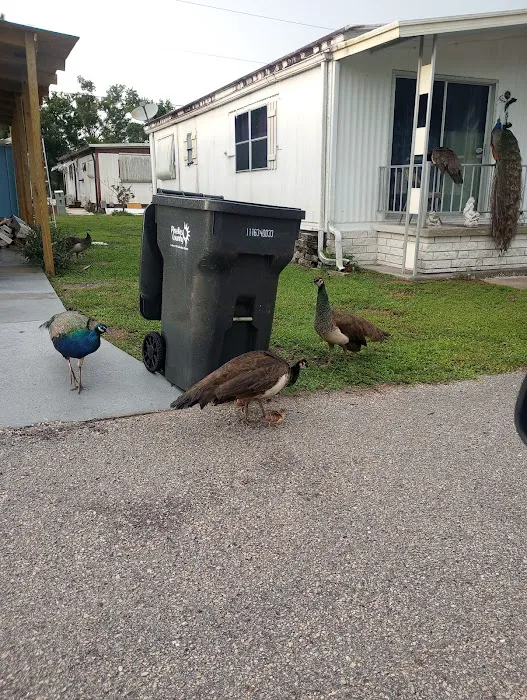 Sawgrass Lake Estates 1