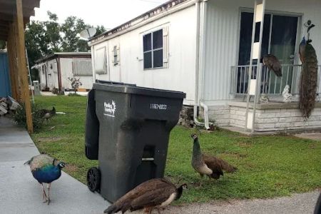 Sawgrass Lake Estates