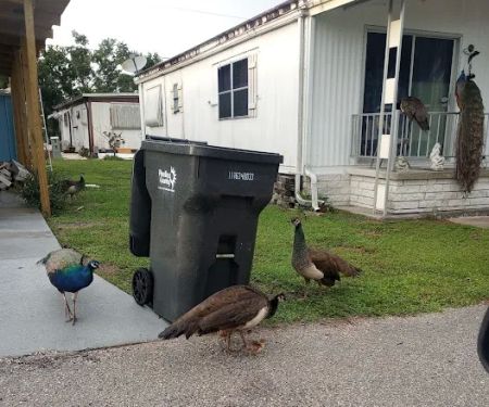 Sawgrass Lake Estates