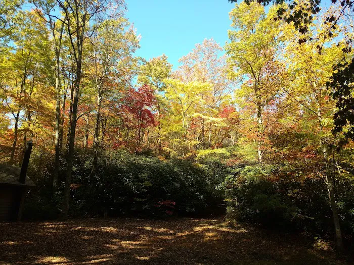 Round Knob Picnic Area 2