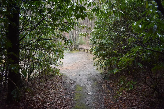 Round Knob Picnic Area 7