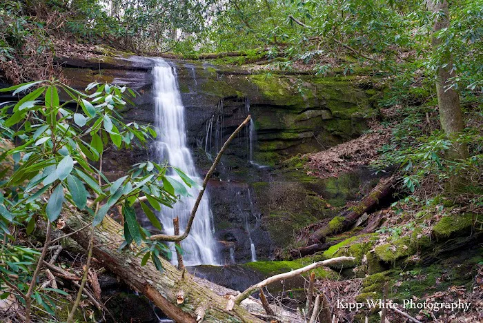 Round Knob Picnic Area 9