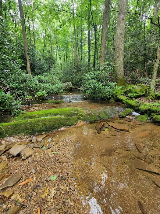 Round Knob Picnic Area 10