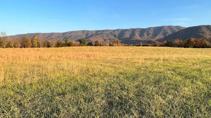 Presidential View RV Ranch 1