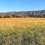 Presidential View RV Ranch