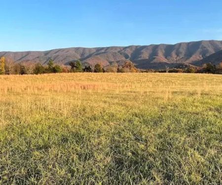 Presidential View RV Ranch