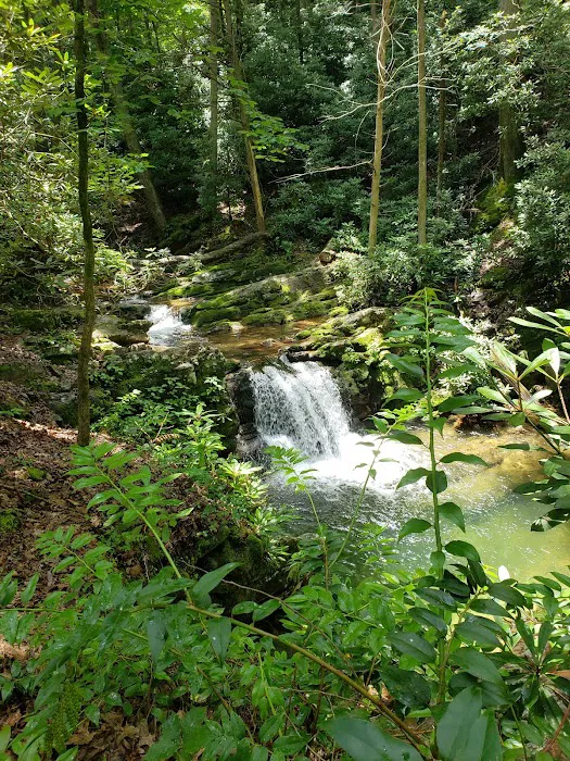 Old Forge Campground 3
