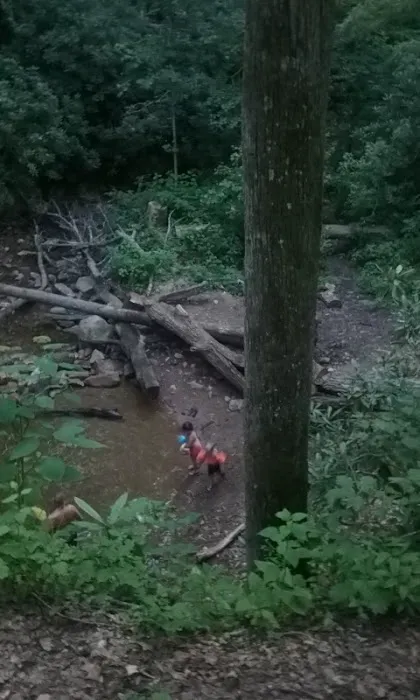 Old Forge Campground 4