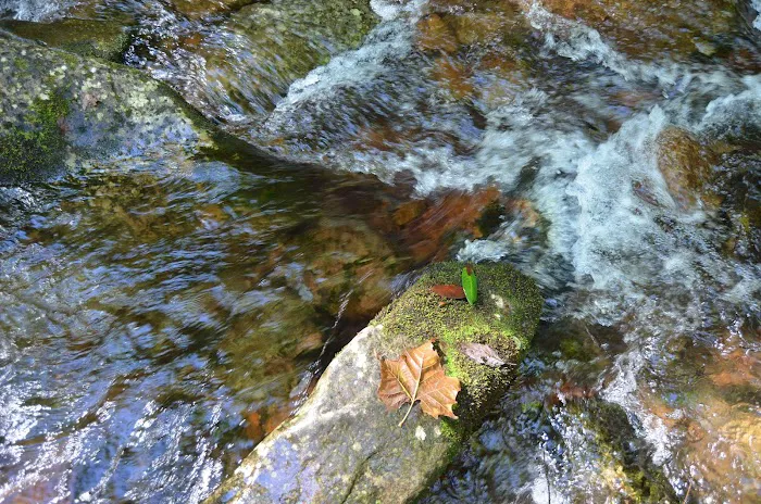 Old Forge Campground 7