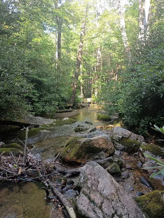 Horse Creek Campground 3