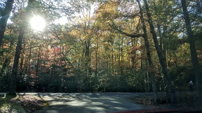 Horse Creek Campground 1