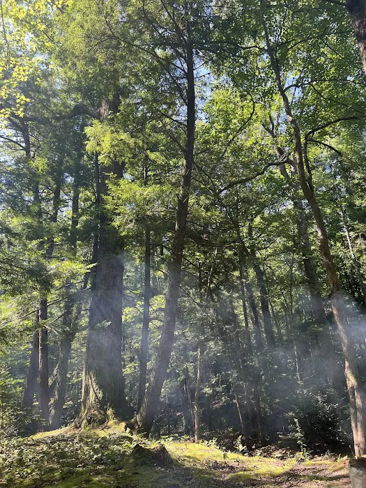 Horse Creek Campground 5