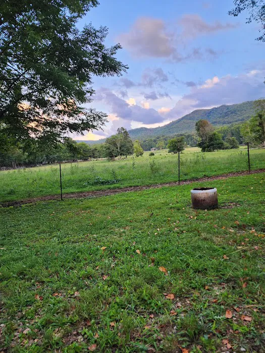 Pebble Mountain Family Campground 6