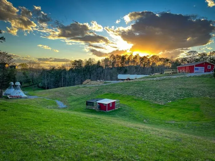 Smoky Hollow Outdoor Resort 6