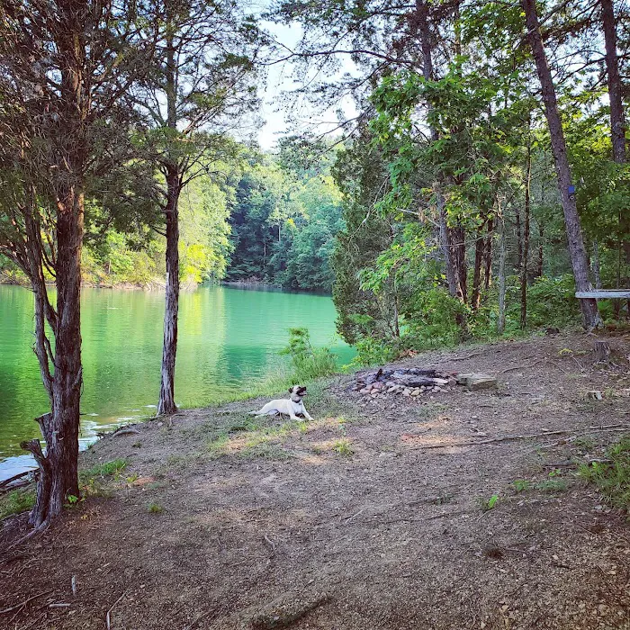 The campsite at Hunkerdown Hollow 2