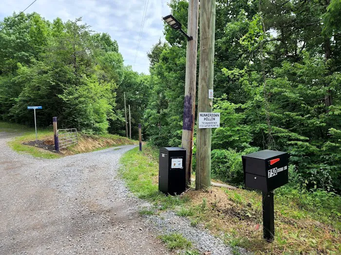 The campsite at Hunkerdown Hollow 5