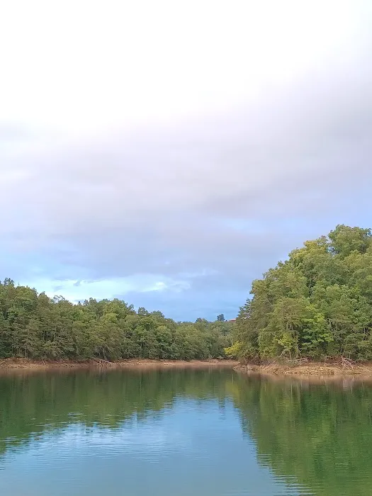 The campsite at Hunkerdown Hollow 8