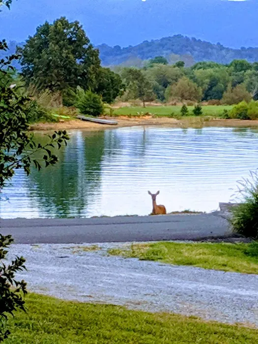 Mountain View Inn Campground 2
