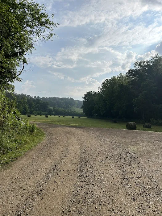 Star Gazer Farm Glamping 7