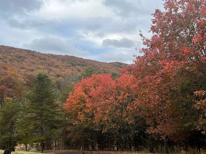 Heavenly Hills Nature Retreat - Banks Farms Campground Resort 10