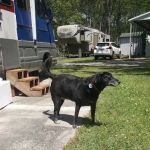 Woodside RV & Trailer Park