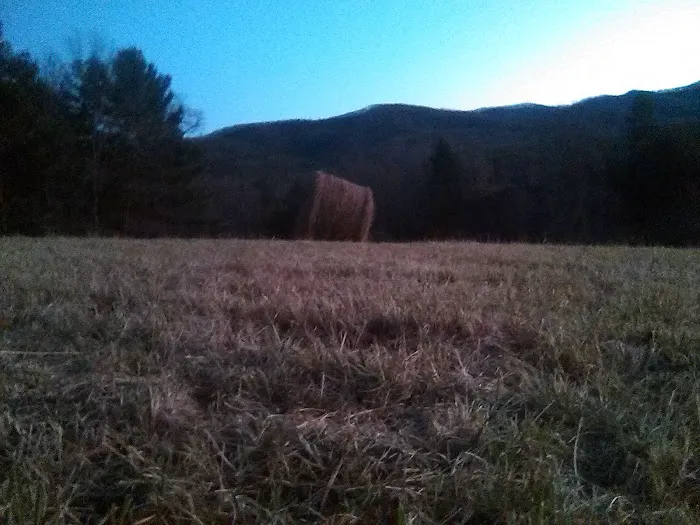 Doe Park 8
