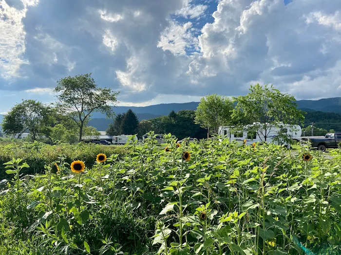 Doe Valley Campground 6