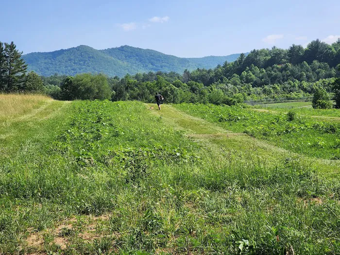 Doe Valley Campground 9