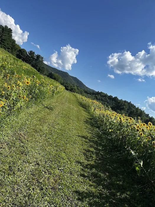 Doe Valley Campground 10
