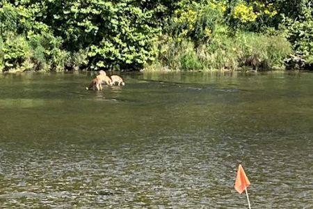 River Country Campground & RV Park