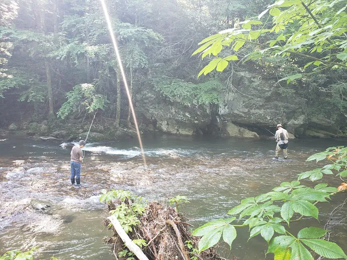 Helton Creek Campground 8