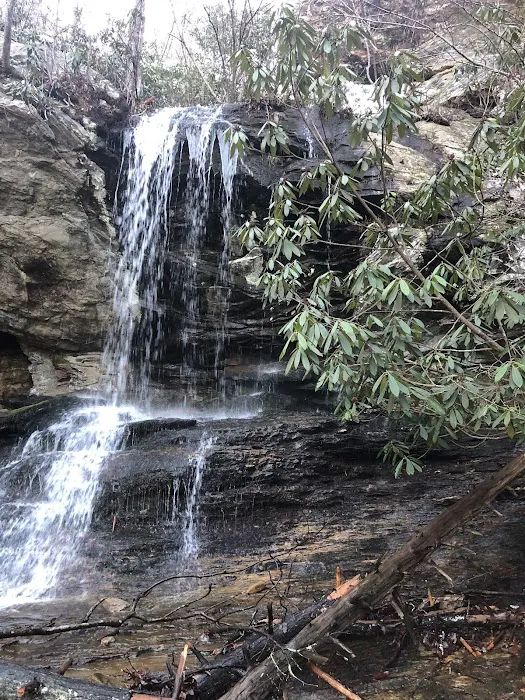Hanging Rock State Park Campground 2