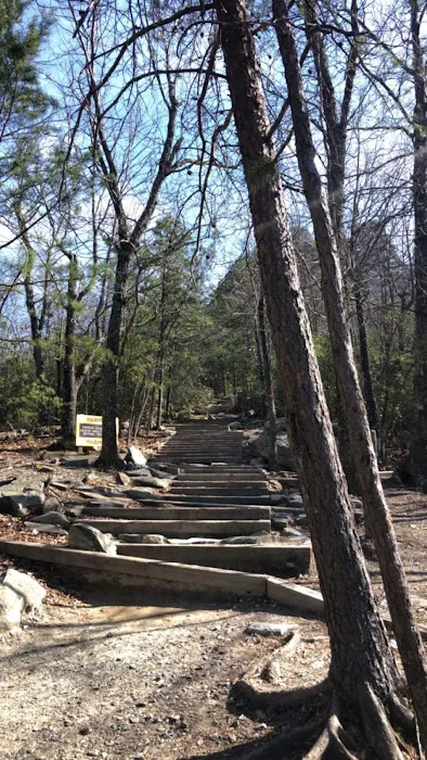 Hanging Rock State Park Campground 4