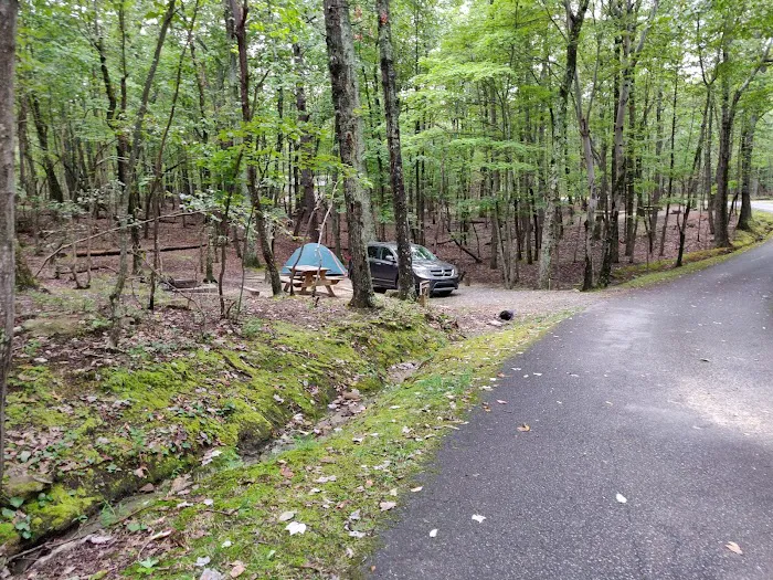 Hanging Rock State Park Campground 3