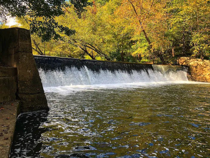 Jessup Mill 8