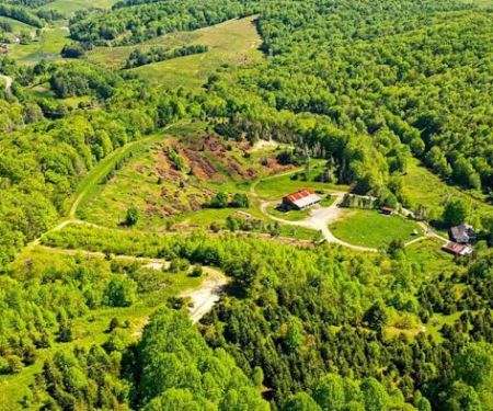 Creeper Trail Campground Inc