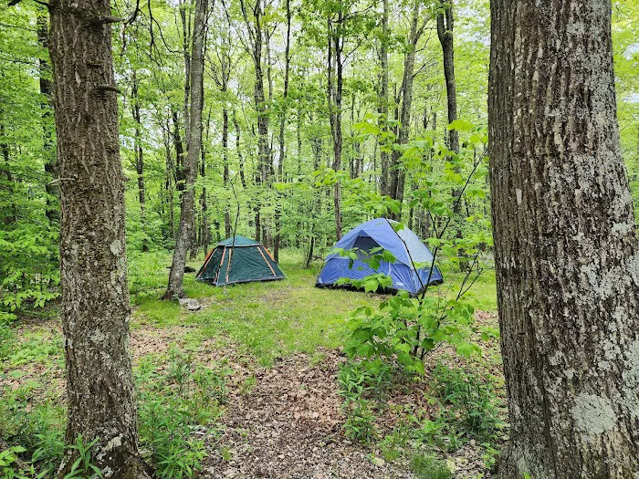 Chestnut Hollow Campground 2