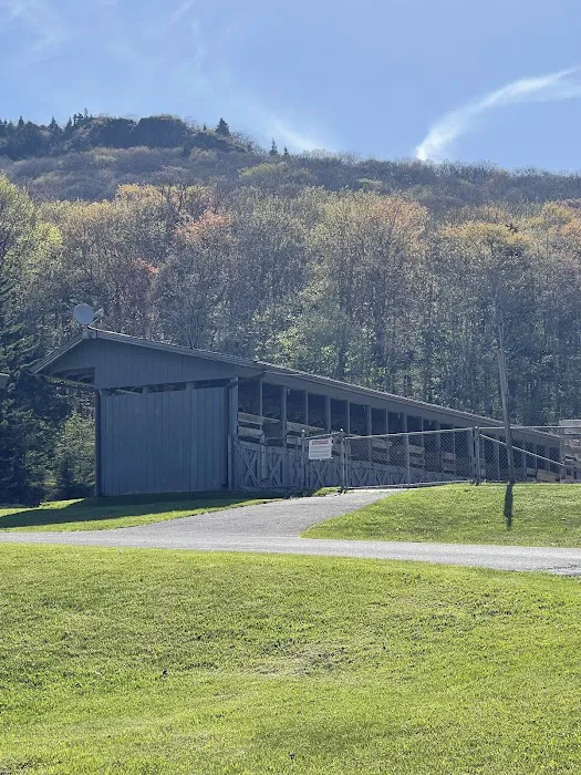 Chestnut Hollow Campground 1