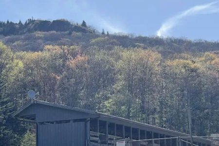 Chestnut Hollow Campground
