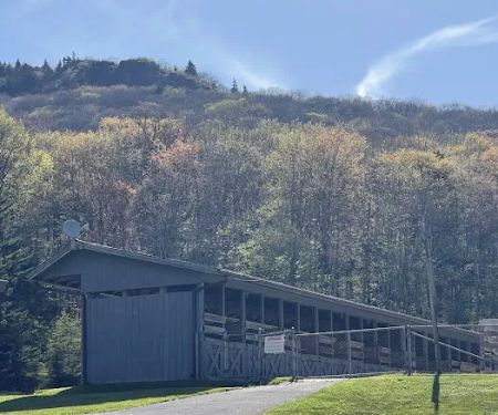 Chestnut Hollow Campground