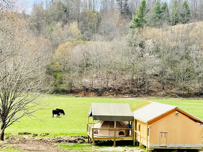 Into the Wild Retreat 1