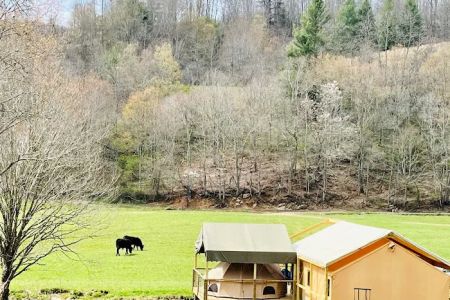 Into the Wild Retreat