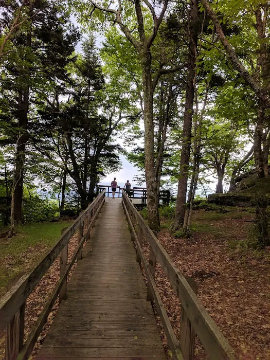 Grayson Highlands Campground 9