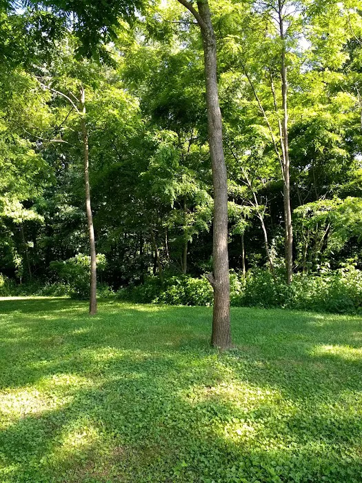 Mountain View Motorcycle Campground 6