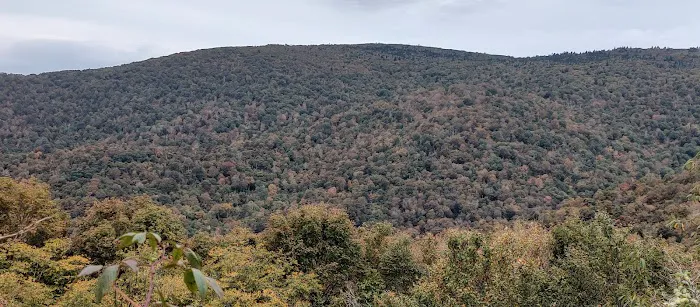 Stan Murray Shelter - Appalachian Trail 4