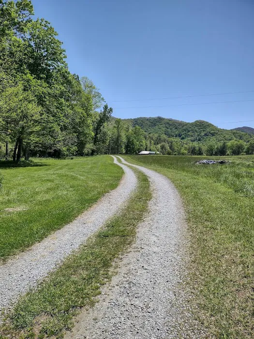 Yellow Mountain Campground 2