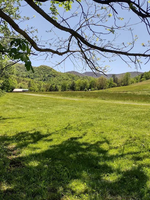 Yellow Mountain Campground 6