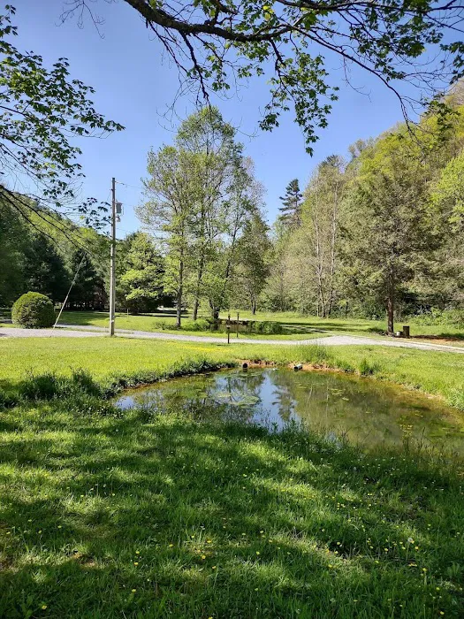 Yellow Mountain Campground 8